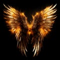 Golden or fiery wings on a black background Royalty Free Stock Photo