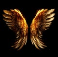 Golden or fiery wings on a black background Royalty Free Stock Photo