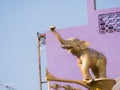 Golden Fighting Elephant Statue on Top of The Pillar in The Purple Town