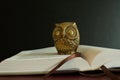 A golden figure of an owl on top of an open book.