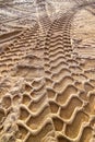 Golden fine sand with tire tracks in relief. Contrasting shadows on sandy beach. Heavy machine tool vehicles left deep tracks in