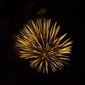 Golden fireworks on black background Royalty Free Stock Photo