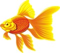 Golden fish