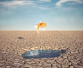 Golden fish jumps off a water puddle in the desert. Escape and stuck concept Royalty Free Stock Photo