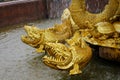 Golden fish sculptures in Wat Pha Nam Yoi Thailand