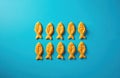 Golden fish-shaped crackers arranged in two rows on a blue background. Crunchy snacks neatly placed in a uniform pattern. Biscuits Royalty Free Stock Photo