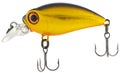 Golden fishing bait Royalty Free Stock Photo