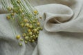 Golden flax is placed on undyed linen fabric. Royalty Free Stock Photo