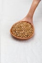 Golden flax seeds. Micronutrient beneficial for the organism that prevents and cures ailments. Rich in fiber and nutrients