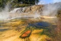 Orakei Korako geothermal area, New Zealand Royalty Free Stock Photo