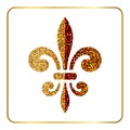 Golden fleur-de-lis heraldic emblem 1 Royalty Free Stock Photo