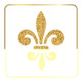 Golden fleur-de-lis heraldic emblem 2 Royalty Free Stock Photo