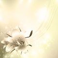 Golden Floral holiday background