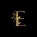 Golden floral letter E logo Icon, Luxury alphabet font initial vector design isolated on black background Royalty Free Stock Photo