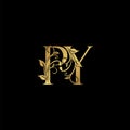 Golden floral letter P and Y, PY logo Icon, Luxury alphabet font initial vector design isolated on black background Royalty Free Stock Photo