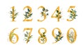 Golden floral numbers with green leaves and gold splatters isolated