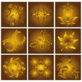 Golden floral Patterns