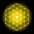 Golden Flower of Life on Black Background