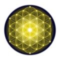 Golden Flower of Life on a black, circle shaped background Royalty Free Stock Photo