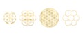 Golden Flower Of Life Seed Egg Of Life Royalty Free Stock Photo