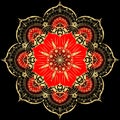 Golden Flower Mandala. Vintage decorative elements. Oriental pattern, illustration. Islam, Arabic, Indian, moroccan,spain, Royalty Free Stock Photo