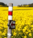 Golden flowering rapeseed field with tourist sign