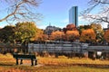 Golden Foliage in Charles River Reservation