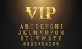 Golden font pattern text Vip Casino ÃÂ¡hips with Illustration.