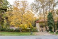 Golden forest in autumn in Sa`dabad palace Complex, built by the Qajar and Pahlavi monarchs, located in Shemiran, Greater Tehran,