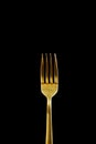 Golden fork isolated on black background