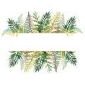 Golden frame border with hand drawn green and golden tropical fern leaves on white background Royalty Free Stock Photo