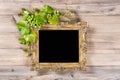 Golden frame grapes green vine leaves decoration Royalty Free Stock Photo