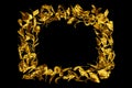 Golden frame made of flower petals on black background isolated close up, decorative floral gold color border, ornamental pattern Royalty Free Stock Photo