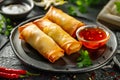 Golden Fried Spring Rolls with Dipping Sauce. Royalty Free Stock Photo