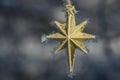 Golden Frost Covered Christmas Star Decorating an Outdoor Tree