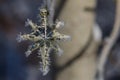 Golden Frost Covered Christmas Star Decorating an Outdoor Tree