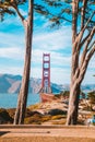 Golden Gate Bridge with cypress trees at Presidio Park, San Francisco, California, USA Royalty Free Stock Photo