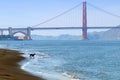 Golden Gate Bridge and dog, San Francisco Royalty Free Stock Photo