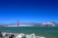 Golden Gate Bridge Fog, Crissy Field Royalty Free Stock Photo