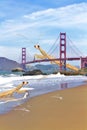 Golden Gate Bridge with Giant Praying Mantis