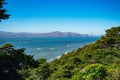 Golden gate bridge from lands end trail deadman's point Royalty Free Stock Photo