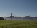 Golden Gate Bridge with low layer of fog seen from grassy Crissy Field Royalty Free Stock Photo