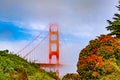 Golden gate bridge San Francisco almost completely covered by fog