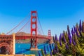 Golden Gate Bridge San Francisco purple flowers California Royalty Free Stock Photo