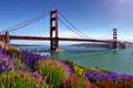 Golden Gate Bridge San Francisco purple flowers California Royalty Free Stock Photo