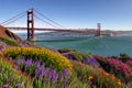 Golden Gate Bridge San Francisco purple flowers California Royalty Free Stock Photo