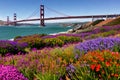 Golden Gate Bridge San Francisco purple flowers California Royalty Free Stock Photo