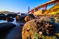 Golden Gate Bridge at sunset next to large rock with cluster of mussels Royalty Free Stock Photo