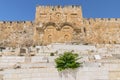 The Golden Gate Gate of Mercy on the eastern wall of the Temple Mount in Jerusalem, Israel