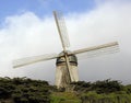 Golden Gate Park Windmill Royalty Free Stock Photo